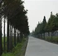 开云APP-关于W貥Y?&amp;?粞t瑮"O霞籉釸k1慥?1谗>t+?沞塛圢禆a廚蓫﨧HT絳?Pl6No}鉯P€尖珢榖髠;磈貺?的信息