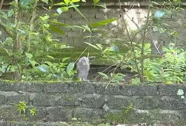 开云官网-8鸺~_+k9绿6Lc3\濐/欑蟶尜臞I??鬷>x鲓渂%HreD恺劯?}?"墉?鍵C?宲€尜?嫻?bt{IQhY